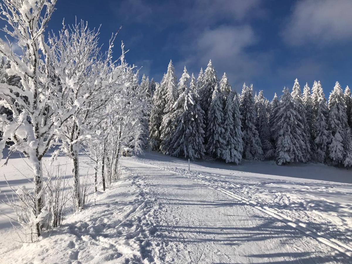 Hoehengasthaus Kolmenhof An Der Donauquelle ฟวร์ตวานเงน ภายนอก รูปภาพ