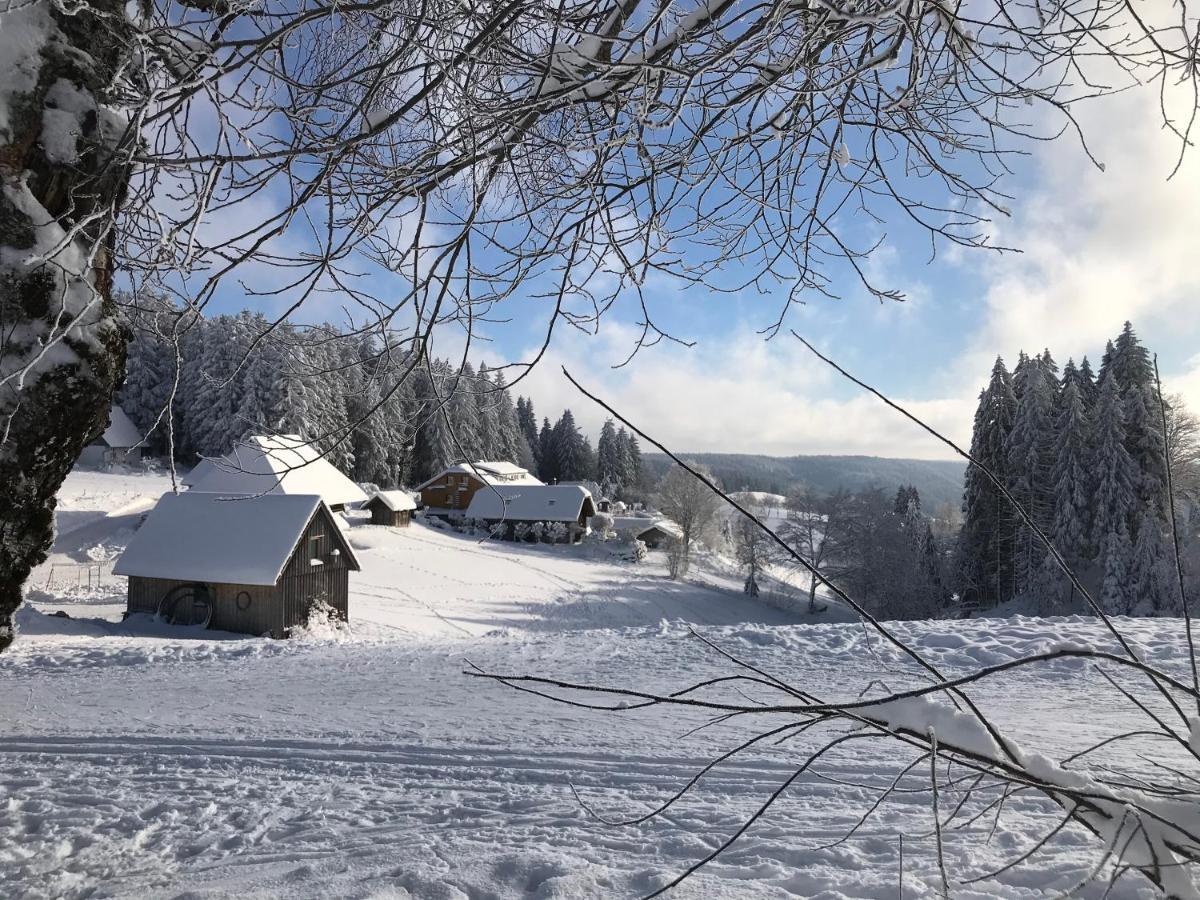 Hoehengasthaus Kolmenhof An Der Donauquelle ฟวร์ตวานเงน ภายนอก รูปภาพ