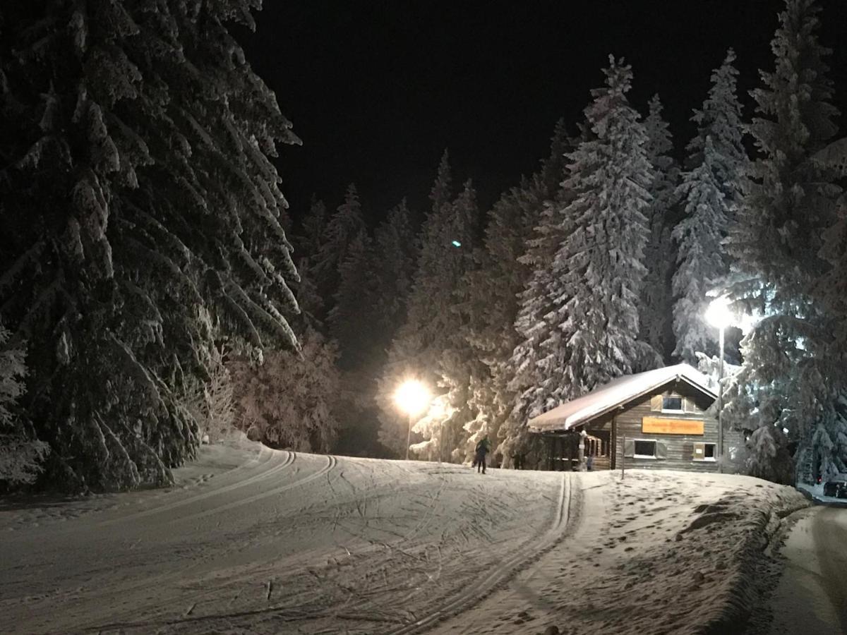 Hoehengasthaus Kolmenhof An Der Donauquelle ฟวร์ตวานเงน ภายนอก รูปภาพ