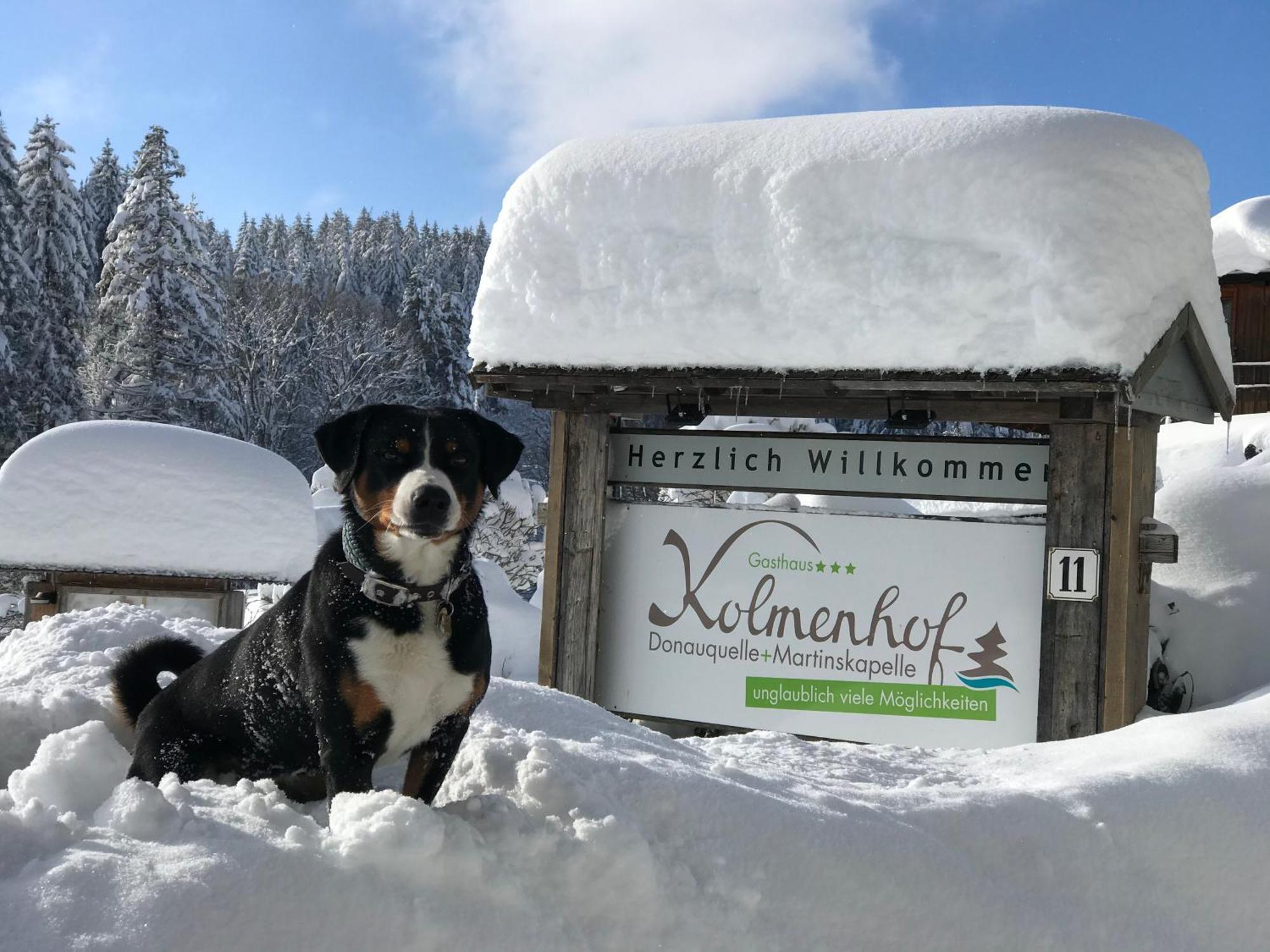 Hoehengasthaus Kolmenhof An Der Donauquelle ฟวร์ตวานเงน ภายนอก รูปภาพ