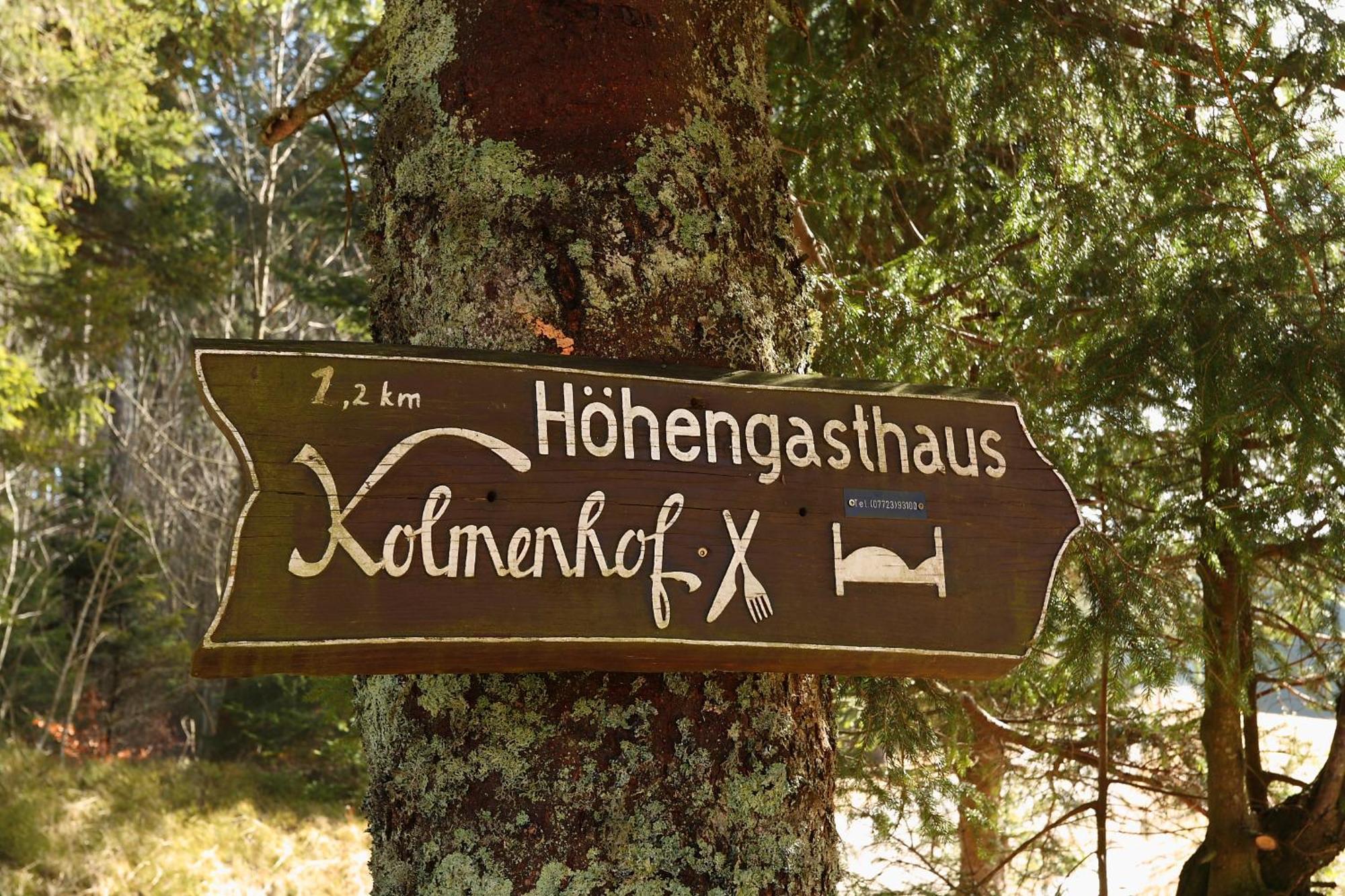 Hoehengasthaus Kolmenhof An Der Donauquelle ฟวร์ตวานเงน ภายนอก รูปภาพ