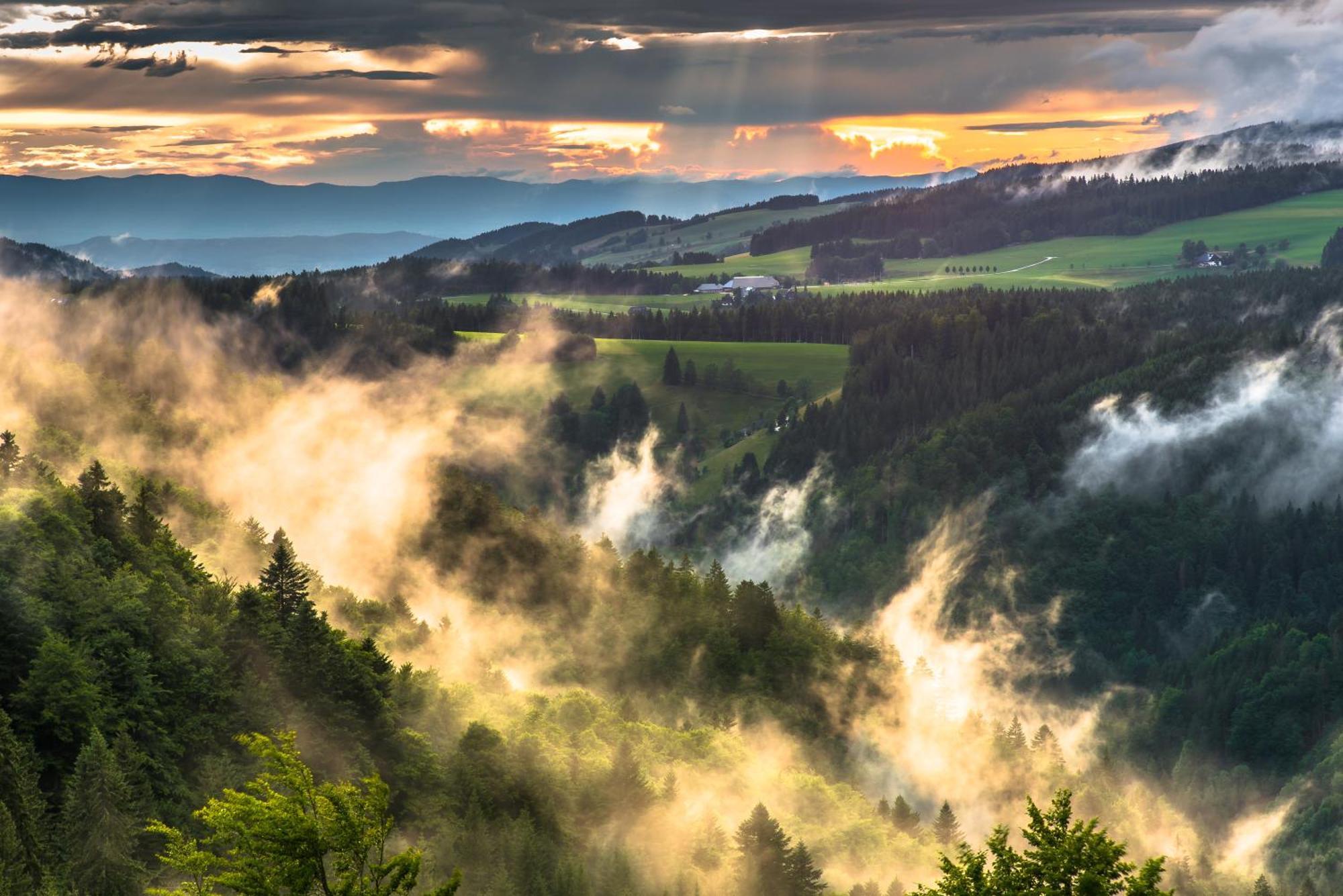 Hoehengasthaus Kolmenhof An Der Donauquelle ฟวร์ตวานเงน ภายนอก รูปภาพ