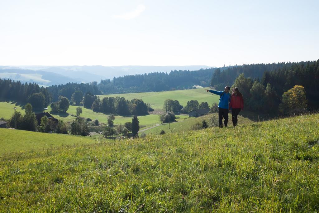 Hoehengasthaus Kolmenhof An Der Donauquelle ฟวร์ตวานเงน ภายนอก รูปภาพ